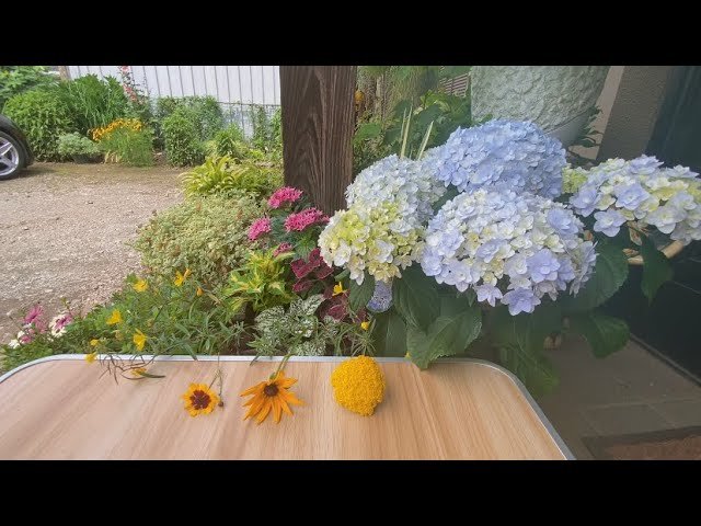 No momento, você está visualizando Chọn tụ bài: ĐIỀU MAY MẮN TRONG 3 THÁNG TỚI.