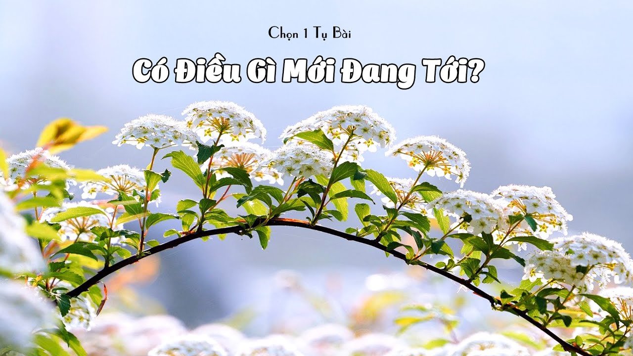 No momento, você está visualizando Có Điều Gì Mới Đang Tới?