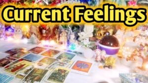 Leia mais sobre o artigo Current Feelings Next Action ❤ All Signs Collective Timeless Tarot Reading