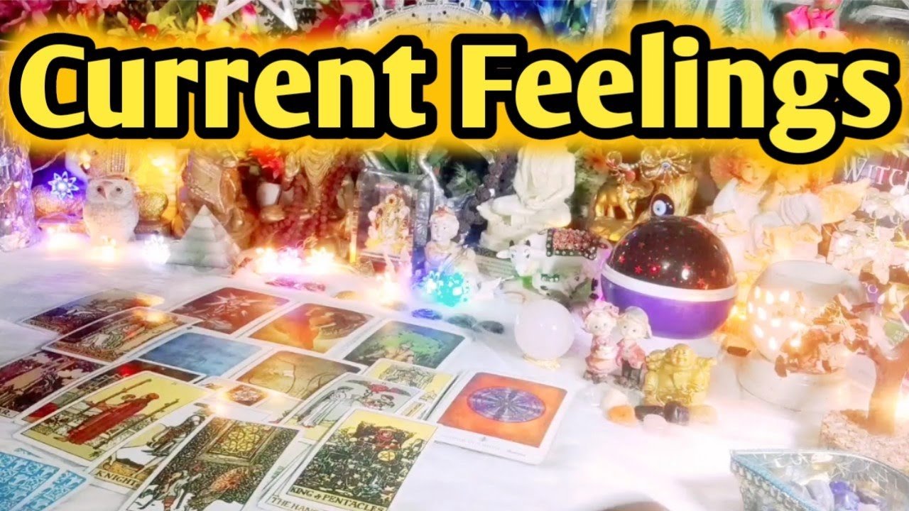 No momento, você está visualizando Current Feelings Next Action ❤ All Signs Collective Timeless Tarot Reading