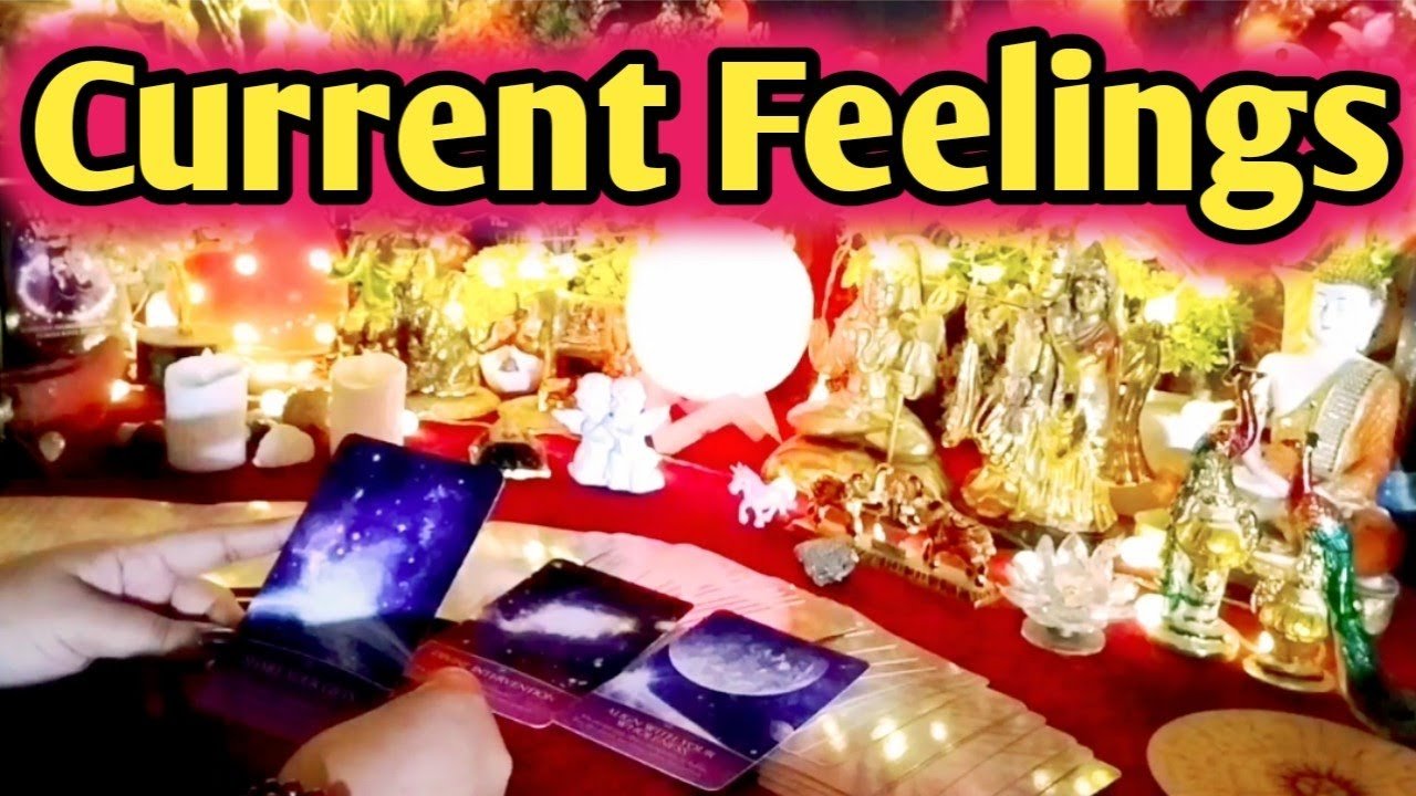 No momento, você está visualizando Current Feelings Next Action With Angel Guidance💛 💚 Timeless Tarot🌈