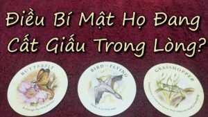 Leia mais sobre o artigo 💖Điều Bí Mật Họ Đang Cất Giấu Trong Lòng?🌻🕉️🙏#vtarot #tarot #chontubai