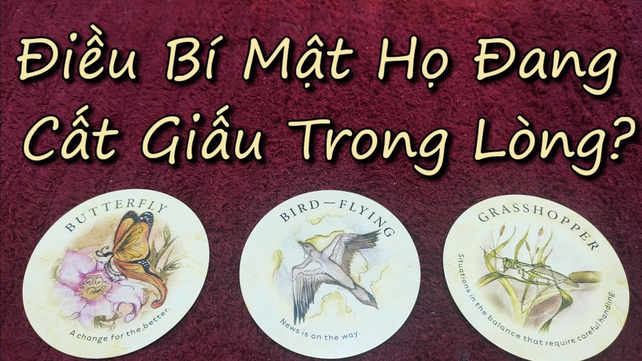 No momento, você está visualizando 💖Điều Bí Mật Họ Đang Cất Giấu Trong Lòng?🌻🕉️🙏#vtarot #tarot #chontubai