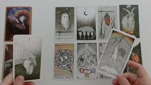 Leia mais sobre o artigo Koptuğun Kişi Neler Hissediyor? Neler Olabilir? Tarot