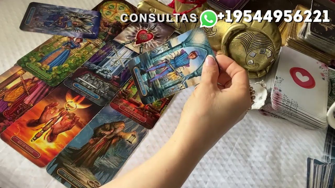 No momento, você está visualizando NO TE BUSCA POR ESTO! PERDÓNAME 😩#amor #tarot #video #viral#viralvideo #estrellafuentedevida 😞