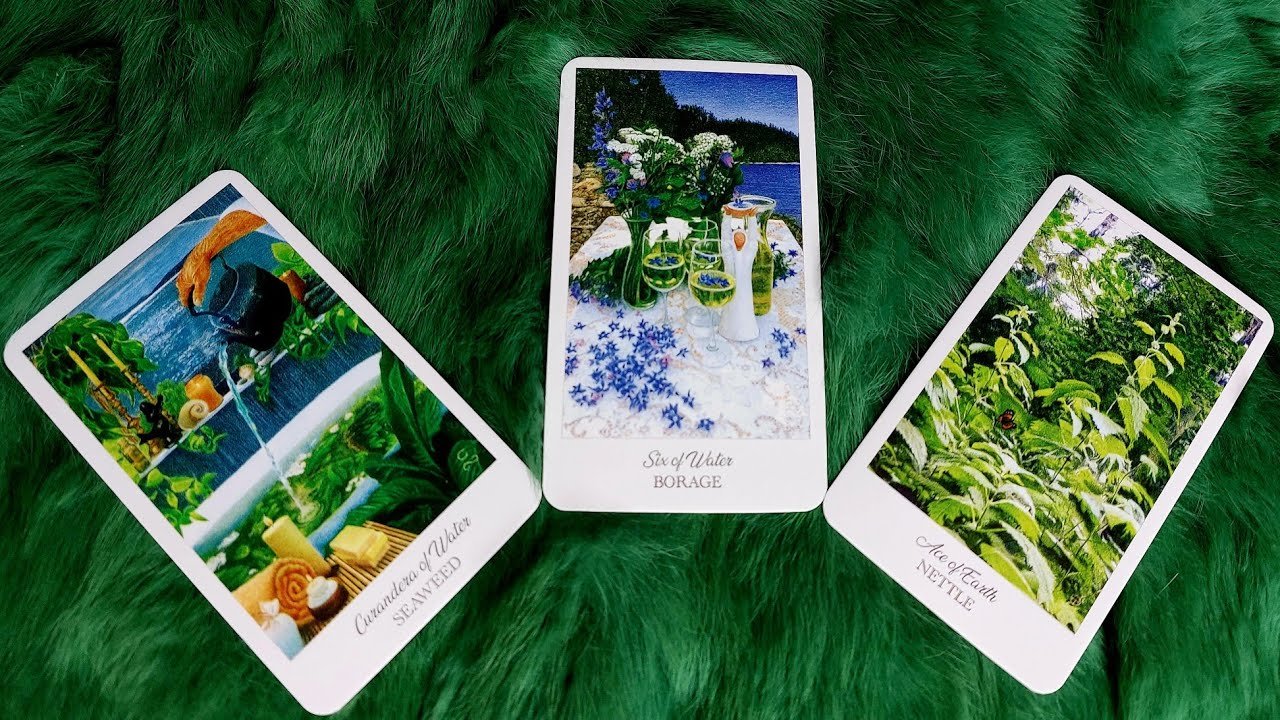 No momento, você está visualizando 🍀🌈NỬA CUỐI THÁNG 6 NIỀM VUI SƯỚNG NÀO SẼ NGẬP TRÀN TRONG CUỘC SỐNG CỦA BẠN ?@EvelynTarot