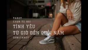 Leia mais sobre o artigo tarot: chọn tụ bài: tình yêu từ giờ đến cuối năm