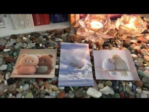 Leia mais sobre o artigo Tarot Love: MÔ TẢ NGƯỜI YÊU TƯƠNG LAI CỦA BẠN