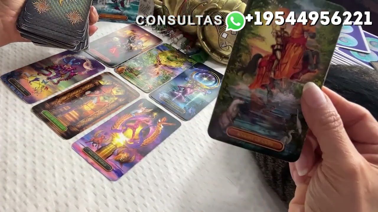 No momento, você está visualizando ALGUIEN SE REVUELCA DE RABIA POR SABER QUE TE PIERDE😡#amor #tarot #viralvideo #video #estrella