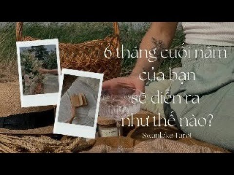 No momento, você está visualizando Bức tranh 6 tháng cuối năm của bạn sẽ như thế nào?|| Swanlake Tarot