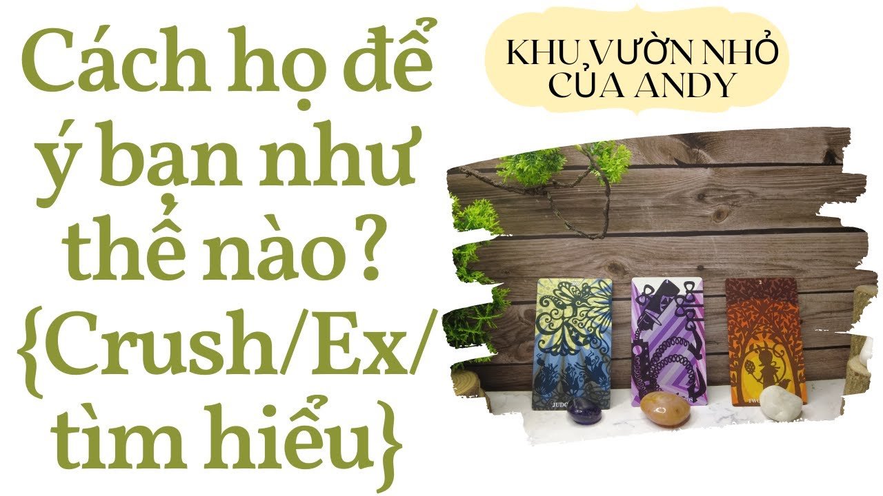 No momento, você está visualizando Cách họ để ý bạn như thế nào? {Crush/Ex/Đang tìm hiểu} | Chọn 1 tụ bài | Xem tarot