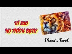 Leia mais sobre o artigo Chọn 1 tụ: VÌ SAO HỌ THÍCH BẠN ❣️ Tarot (timestamp dưới video)