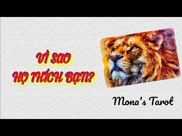 No momento, você está visualizando Chọn 1 tụ: VÌ SAO HỌ THÍCH BẠN ❣️ Tarot (timestamp dưới video)