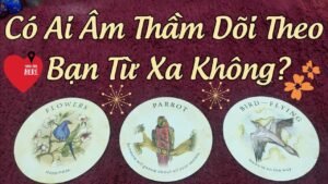 Leia mais sobre o artigo 💥Có Ai Âm Thầm Dõi Theo Bạn Từ Xa Không? 🤔💖😍🏵️ #tarot #vtarot