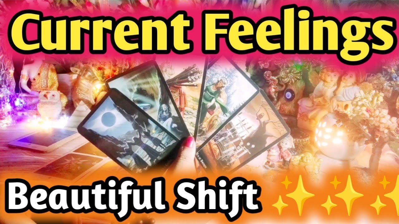 No momento, você está visualizando Current Feelings Next Action ❤💚 All Signs Collective Timeless Tarot Reading