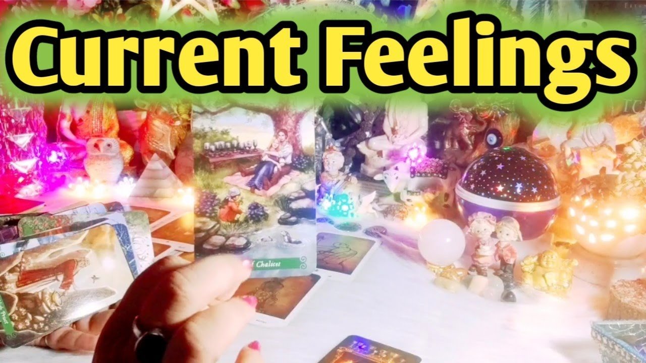 No momento, você está visualizando Current Feelings Next Action 😘 All Signs Collective Timeless Tarot Reading