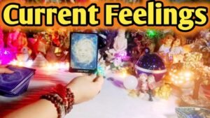 Leia mais sobre o artigo Current Feelings Next Action With Angel Guidance ✨❤✨ All Signs Collective Timeless Tarot Reading