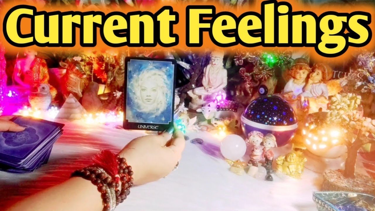 No momento, você está visualizando Current Feelings Next Action With Angel Guidance ✨❤✨ All Signs Collective Timeless Tarot Reading
