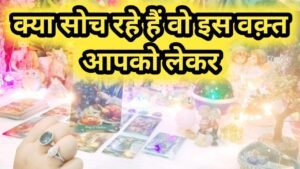 Leia mais sobre o artigo Current Feelings Next Action With Angel Guidance ✨❤✨ All Signs Collective Timeless Tarot Reading