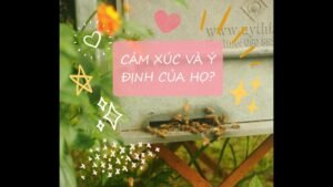 Leia mais sobre o artigo 🌸CẢM XÚC VÀ Ý ĐỊNH CỦA HỌ? – Chọn một tụ bài Tarot (timeless)