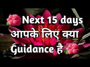 Leia mais sobre o artigo 🌺Next 15 days आपके लिए क्या Guidance है 15 Days Tarot Reading! Tarot Reading! Tarot (timeless)🌺
