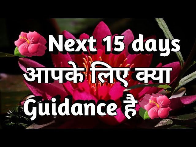 No momento, você está visualizando 🌺Next 15 days आपके लिए क्या Guidance है 15 Days Tarot Reading! Tarot Reading! Tarot (timeless)🌺
