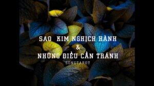 Leia mais sobre o artigo sao kim nghịch hành & những điều cần tránh