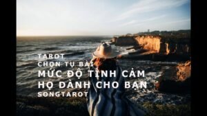 Leia mais sobre o artigo tarot: chọn tụ bài: mức độ tình cảm họ dành cho bạn