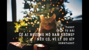 Leia mais sobre o artigo tarot: chọn tụ bài: có ai ngưỡng mộ bạn không? nếu có, vì lý do gì?