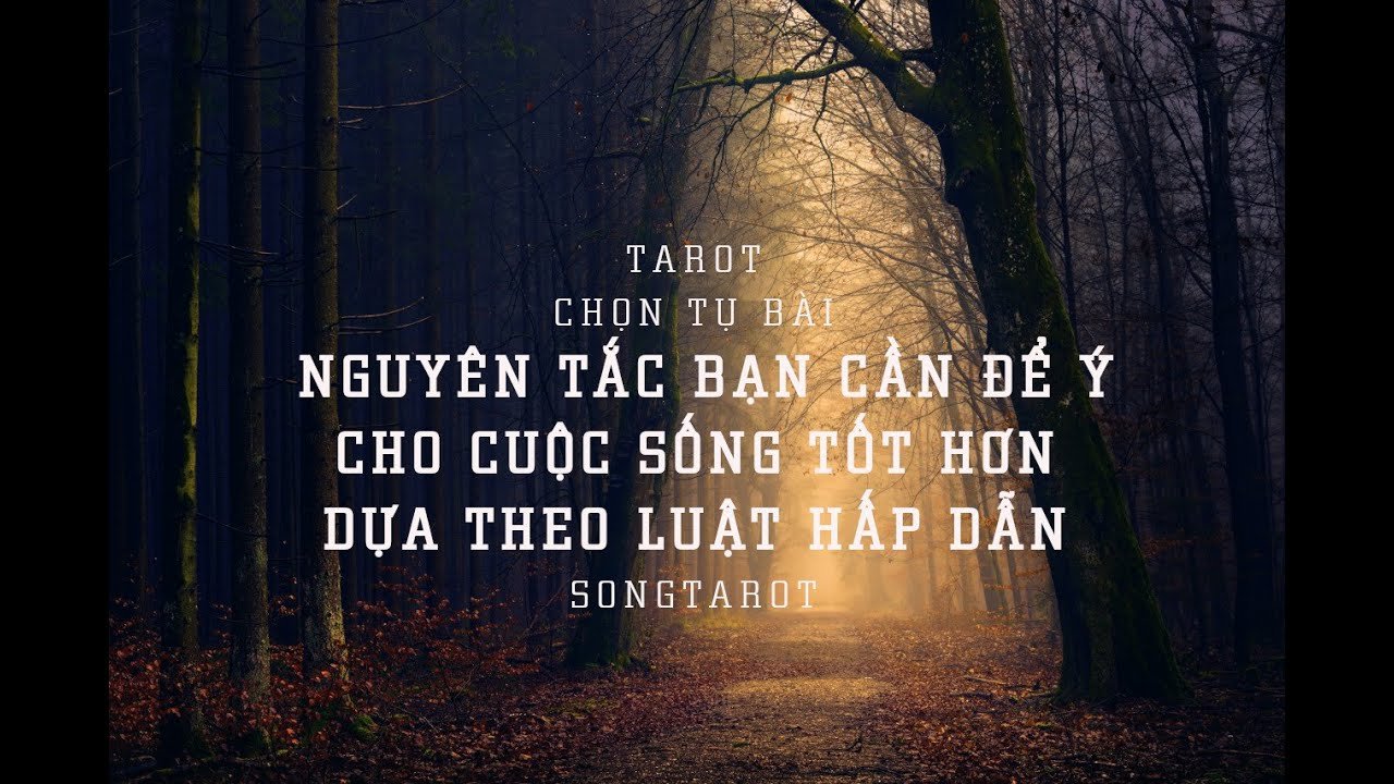No momento, você está visualizando tarot: chọn tụ bài: nguyên tắc bạn cần để ý cho cuộc sống tốt hơn dựa theo Luật Hấp Dẫn