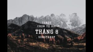 Leia mais sobre o artigo tarot: chọn tụ bài: tháng 8