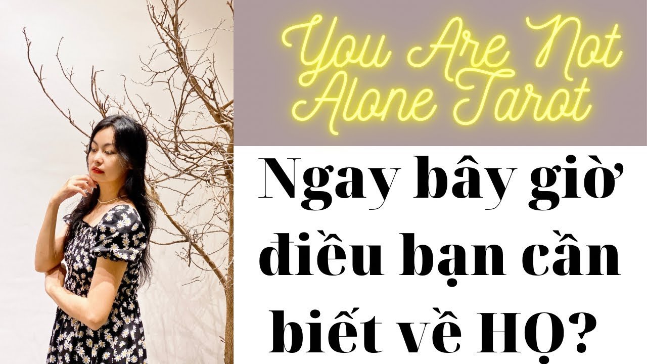 No momento, você está visualizando ✨✨🌸Tarot: Ngay bây giờ điều bạn cần biết về HỌ? You Are Not Alone Tarot