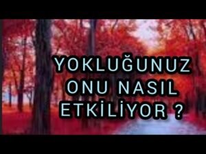 Leia mais sobre o artigo YOKLUĞUNUZ ONU ETKİLİYOR MU ? #tarotfalı #aklımdakikisi #üçüncükişiler #erildişil #tarot