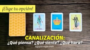 Leia mais sobre o artigo 🗣️💕 CANALIZACIÓN: Esto piensa, siente y hará por ti durante la semana 🥰 TAROT INTERACTIVO