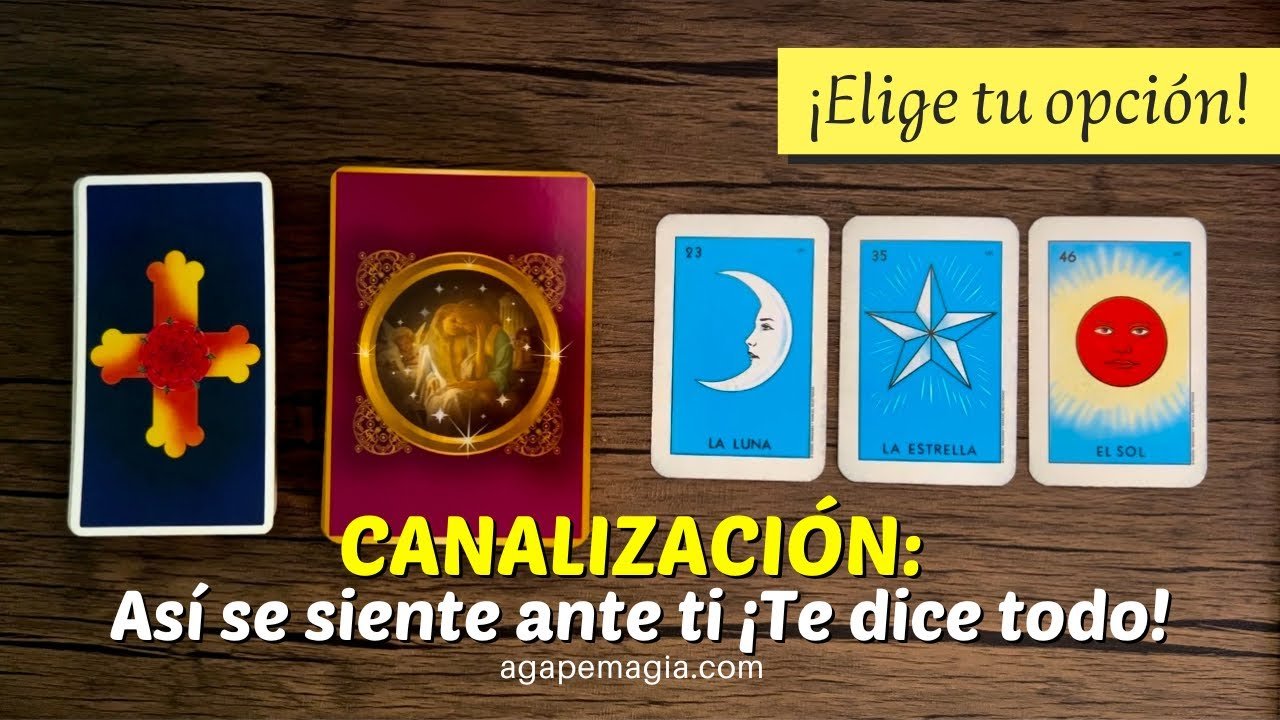 No momento, você está visualizando 🗣️💞 CANALIZACIÓN: Sus confesiones sobre cómo se siente ante ti 🌸 TAROT INTERACTIVO