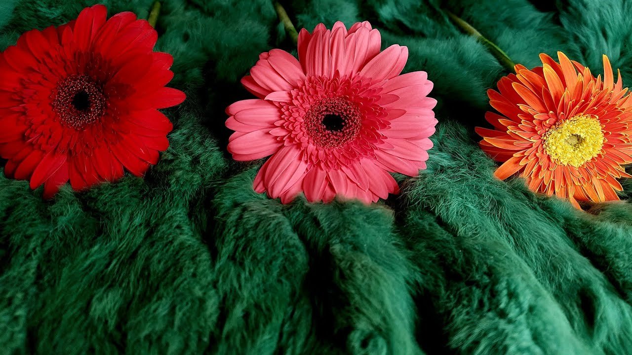 No momento, você está visualizando 🦚 THÁNG 9/2023 CỦA BẠN SẼ CÓ GÌ? @EvelynTarot