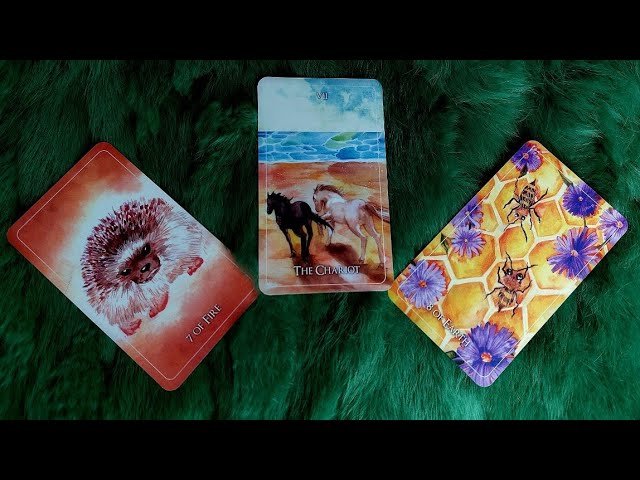 No momento, você está visualizando ĐƯỜNG ĐỜI TƯƠNG LAI CỦA BẠN SẼ RA SAO TRƯỚC NHỮNG BIẾN ĐỔI BẤT NGỜ TRÊN TOÀN CẦU? @EvelynTarot