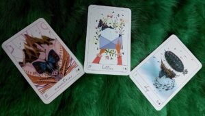 Leia mais sobre o artigo ĐIỀU GÌ ĐANG ÂM THẦM DIỄN RA TRONG CUỘC SỐNG CỦA BẠN MÀ BẠN CHƯA BIẾT?@EvelynTarot
