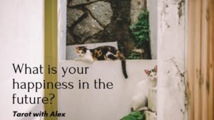 Leia mais sobre o artigo Điều gì sắp tới diễn ra làm bạn hạnh phúc? – timeless | tarot