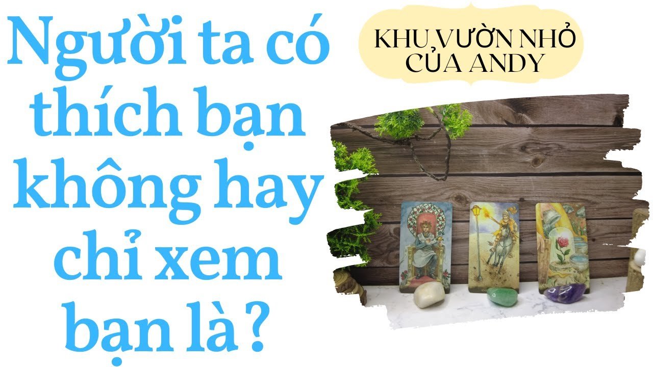 No momento, você está visualizando Người ta có thích bạn không hay chỉ xem bạn là…? | Chọn 1 tụ bài | Xem tarot