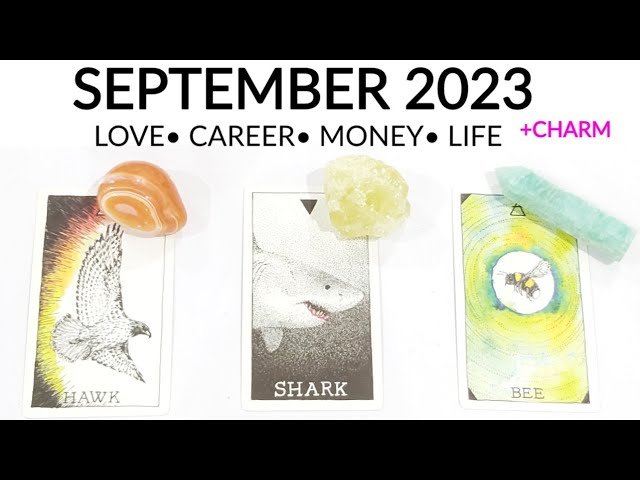 No momento, você está visualizando SEPTEMBER 2023 🌠 LOVE• CAREER• MONEY• LIFE FOR YOU 💗 WHAT’S NEXT 😍 +CHARM
