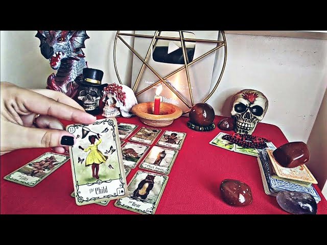 No momento, você está visualizando ☪️SUA VIDA HOJE NO TARÔ E BARALHO CIGANO