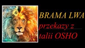 Leia mais sobre o artigo Tarot – Brama Lwa – Przekazy dla wszystkich znaków zodiaku