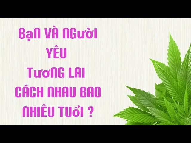 No momento, você está visualizando Tarot : Chọn 1 tụ bài : bạn và người yêu tương lai cách nhau bao nhiêu tuổi ?