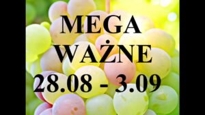 Leia mais sobre o artigo 🌻💝✨TAROT:  MEGA ważne dla wszystkich znaków na tydzień 28.08 – 3.09.2023 🌻💝✨ – czas w opisie