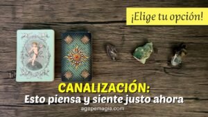 Leia mais sobre o artigo 🗣️💞 CANALIZACIÓN: Tu persona especial te habla a través de mí ❣️ TAROT INTERACTIVO