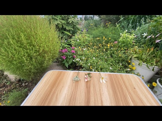 No momento, você está visualizando Chọn tụ bài:Điều may mắn sắp tới