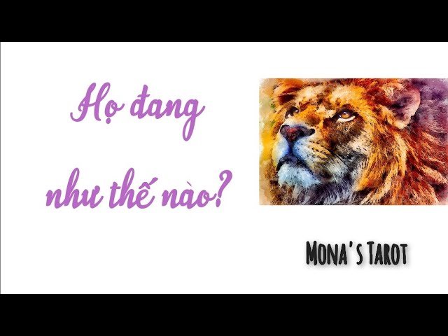 No momento, você está visualizando Chọn 1 tụ bài: HỌ…ĐANG NHƯ THẾ NÀO? 🤔 Tarot (timestamp dưới video)