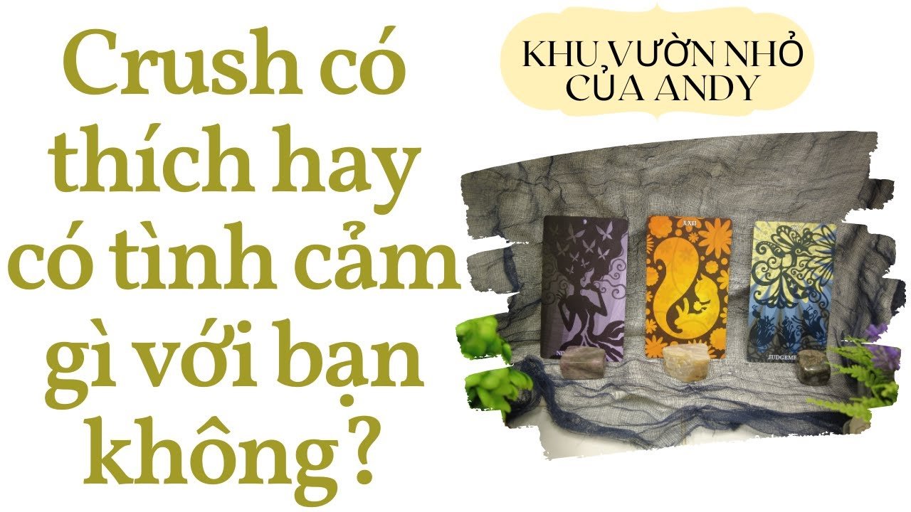 No momento, você está visualizando Crush có thích hay có tình cảm gì với bạn không? | Chọn 1 tụ bài | Xem tarot