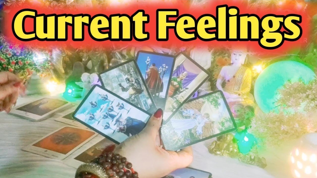 No momento, você está visualizando Current Feelings Next Action 💛❤ All Signs Collective Timeless Tarot Reading
